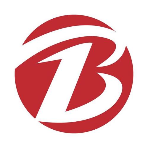 上海宝园财务管理咨询 企业财务管理的智慧之选